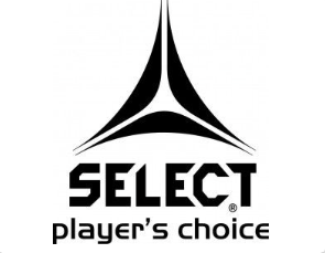 Sponsor logo #3
